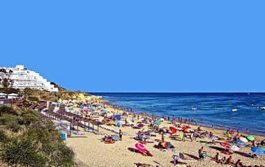 Hébergement de vacances Snoopy 4 *